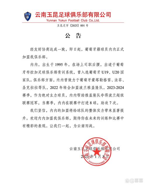 云南玉昆新外援加盟,相信很快就能证明他是名狠角色!1月8日中超新军云